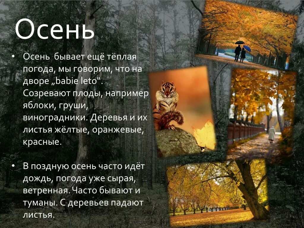 Осенняя погода стихотворение