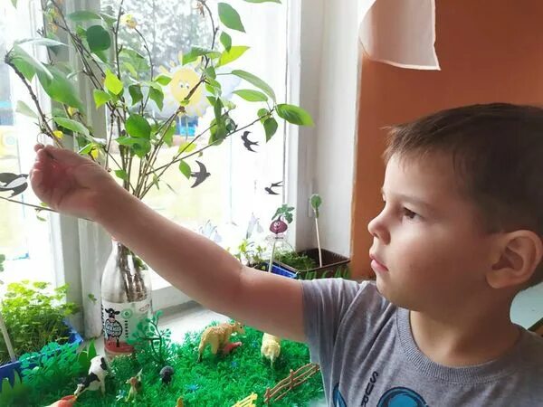Дети ломают ветки. Фото детей с объектами живой природы. как помочь дереву сломанной ветке для дошкольников. ломать ветки картинка для детей.