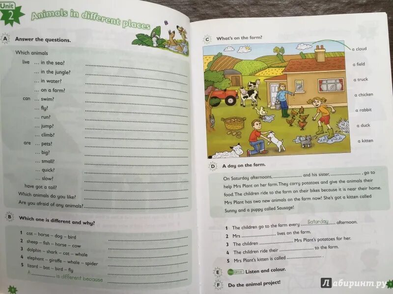 Гдз fun for Movers 4 гдз. Fun for Movers ответы. Fun for Movers student's book ответы. Movers учебник. Unit 37