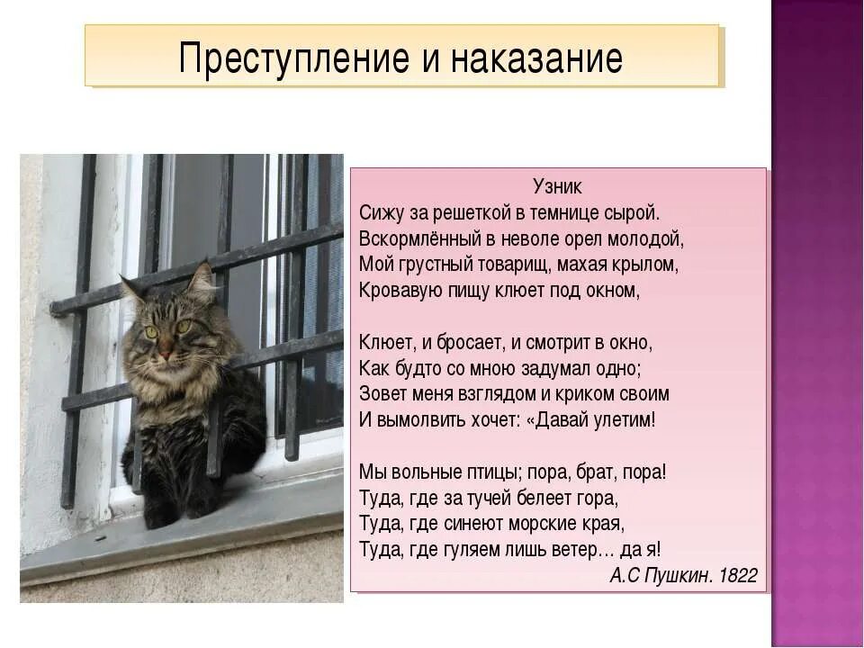 Орел в неволе стих. Сижу я в темнице сырой вскормленный в неволе Орел молодой. Сижу за решёткой в темнице сыройм. Сижутза ршеткой в темнице сырой. Сидиттза решетой Орел молой.