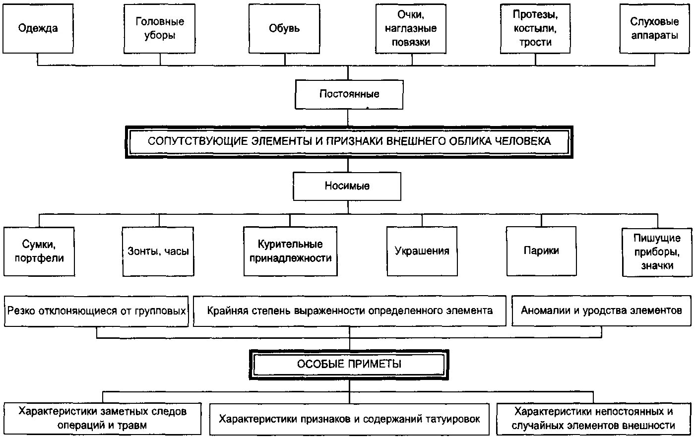 Составляющие внешнего облика. Схему классификации признаков внешности человека. классификация признаков внешности человека в криминалистике. схема описания внешнего облика человека криминалистика. классификация элементов внешнего облика человека.