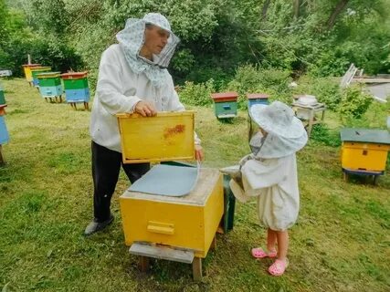 В деревне лимоновка открылась новая пасека