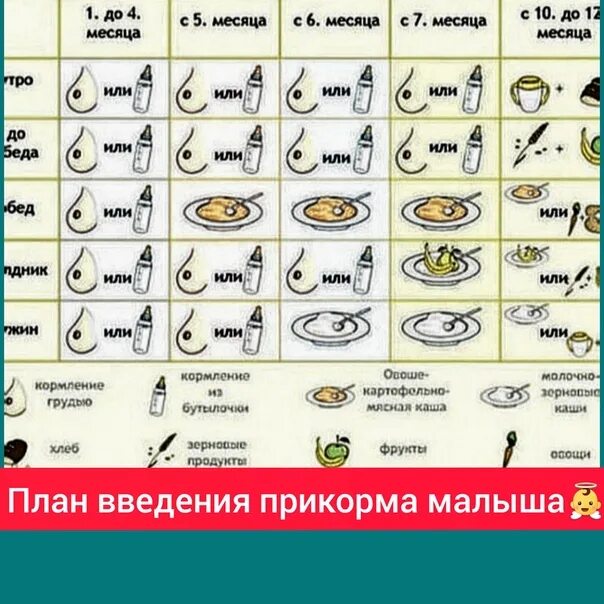 Что можно 5 месячному ребенку. План введения прикорма. План первого прикорма. Прикорм ребенка схема. Правильное Введение прикорма.