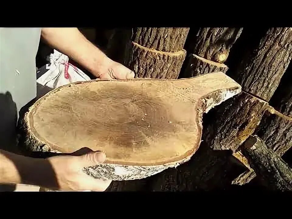 Как сушат спилы. Как сушат спилы