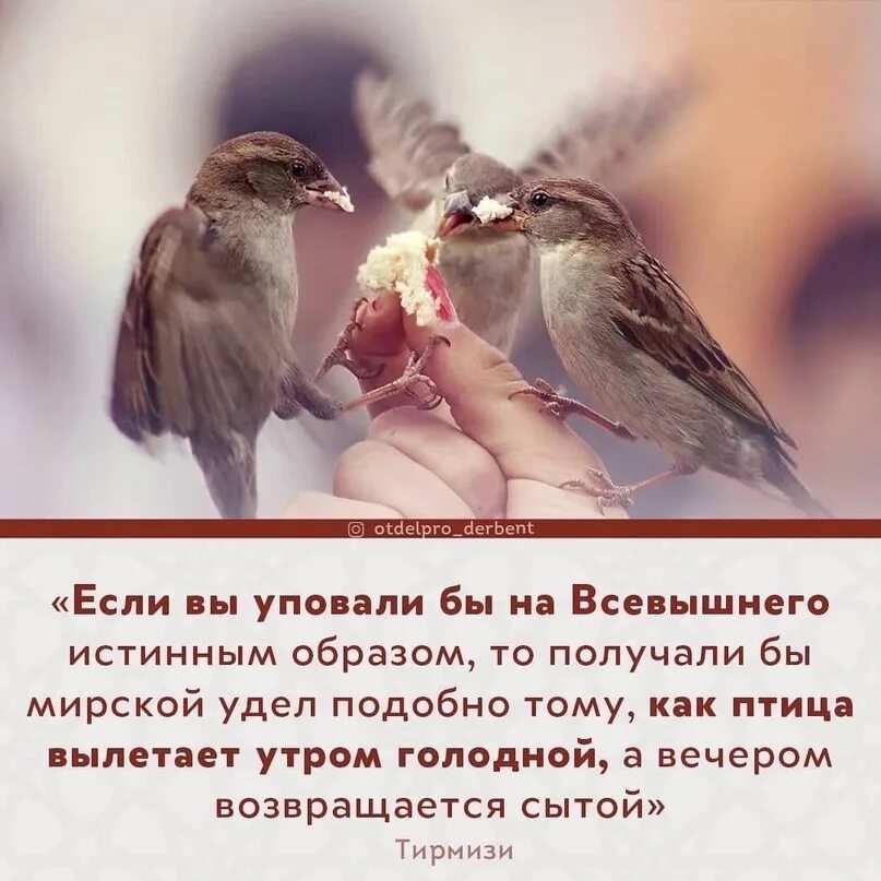 Уповать на всевышнего. Уповай на Всевышнего. Уповай только на Всевышнего. Уповаю на Всевышнего. Я уповаю на Всевышнего.