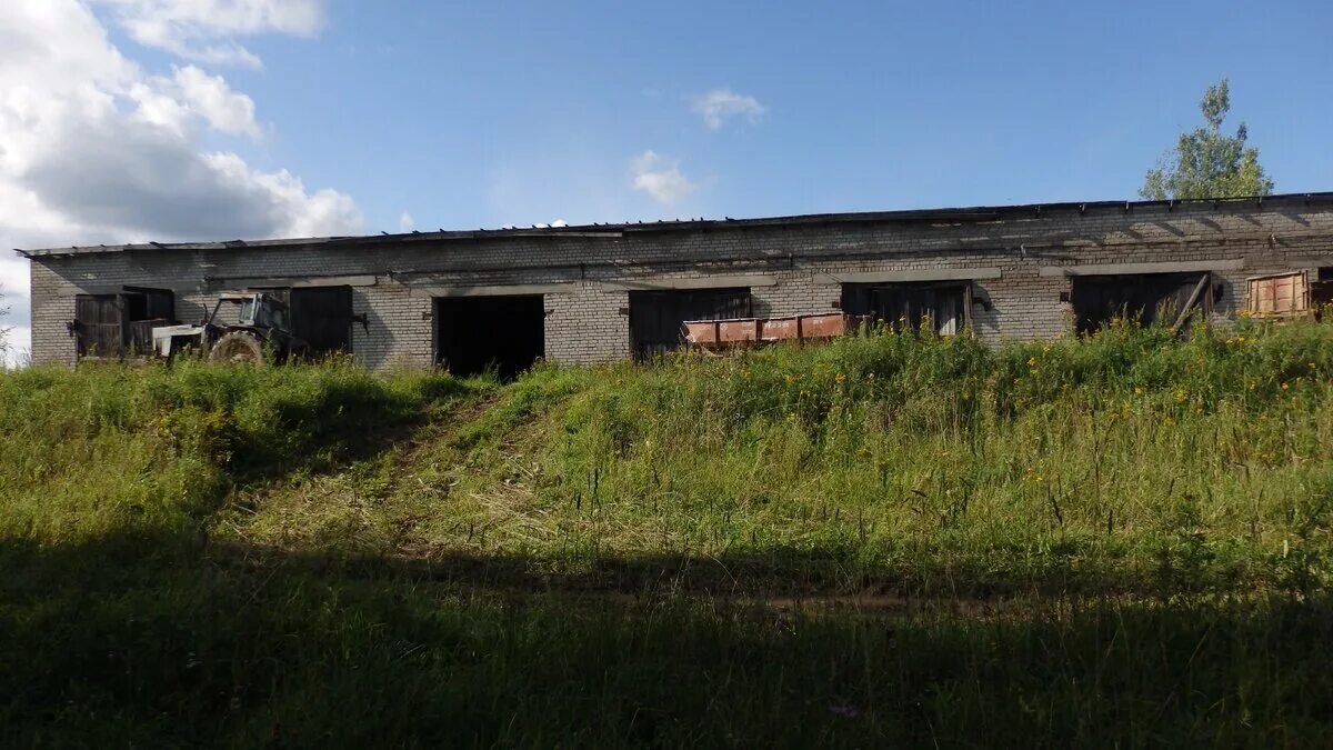 Колхоз 2000 год. Колхоз сознательный зубцовский район. Труженики села. Разруха в сельском хозяйстве россии. Заброшенные совхозы и колхозы.