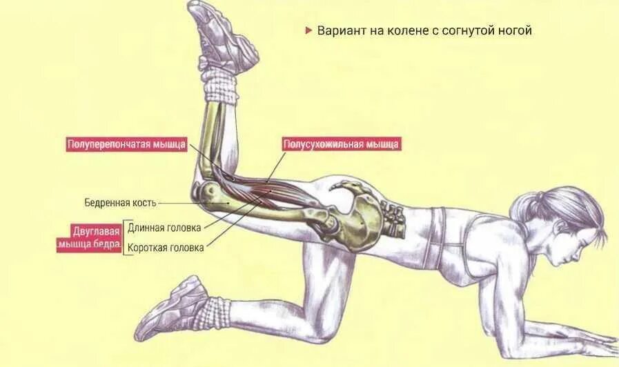 Положение бедер