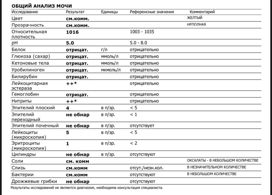 Анализ мочи патологии. Норма лейкоцитов в моче в 1 мкл. Норма лейкоцитов в моче в 1 мл. Показатели микроскопического исследования мочи в норме. Норма лейкоцитов в моче у ребенка 2.