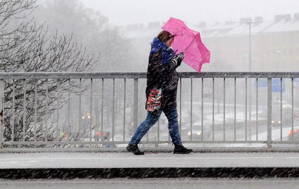 Фрукты и плохая погода. Включи непогоды. Включи непогоды. Ливень. Непогода для детей.