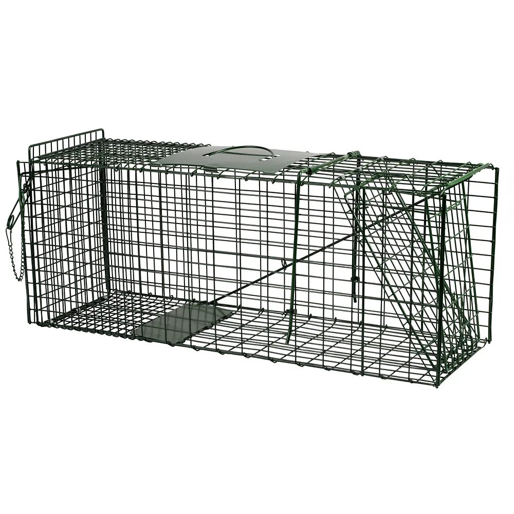Animal trap. Клетка кошколовка ловушка складная. Кик от грызунов. Ловушка клетка на фазана. Ловушки для животных.