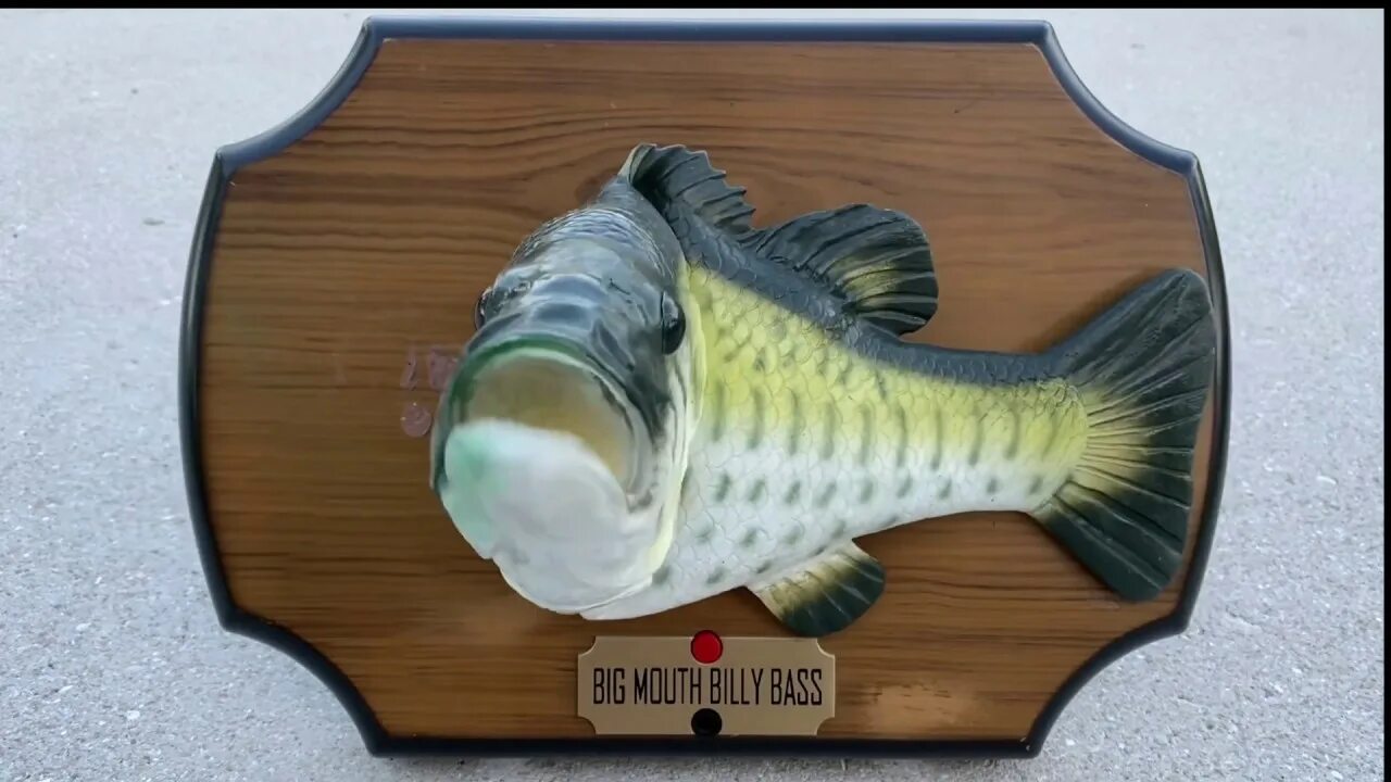 Big mouth bass. Billy bass fish. Говорящая рыба на стену. Поющая рыба билли басс. Рыба на доске поющая.