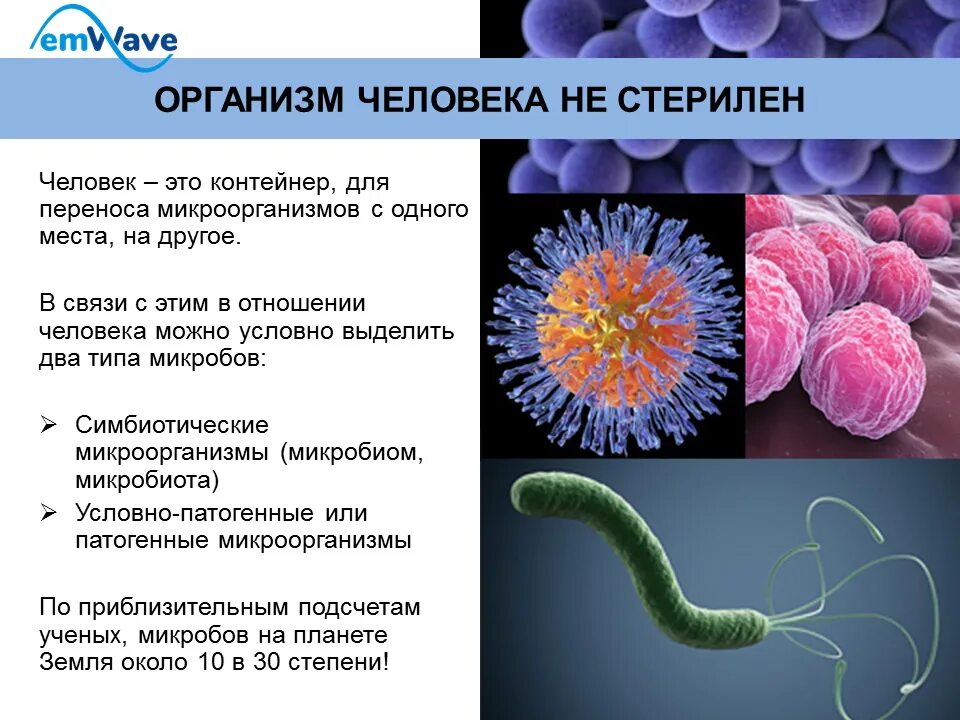 Микроорганизмы в организме. Болезнетворные бактерии патогенные. Влияние микроорганизмов на организм человека. Влияние бактерий на человека. Группы патогенных организмов