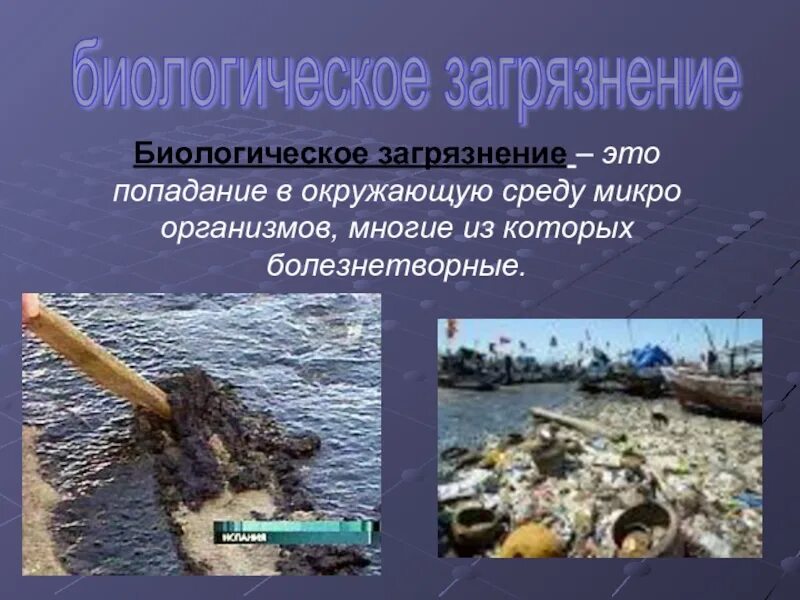 Загрязнение биологических ресурсов. Биологическое загрязнение окружающей среды. биологические загрязнители окружающей среды. источники биологического загрязнения. источники биологического загрязнения окружающей среды.