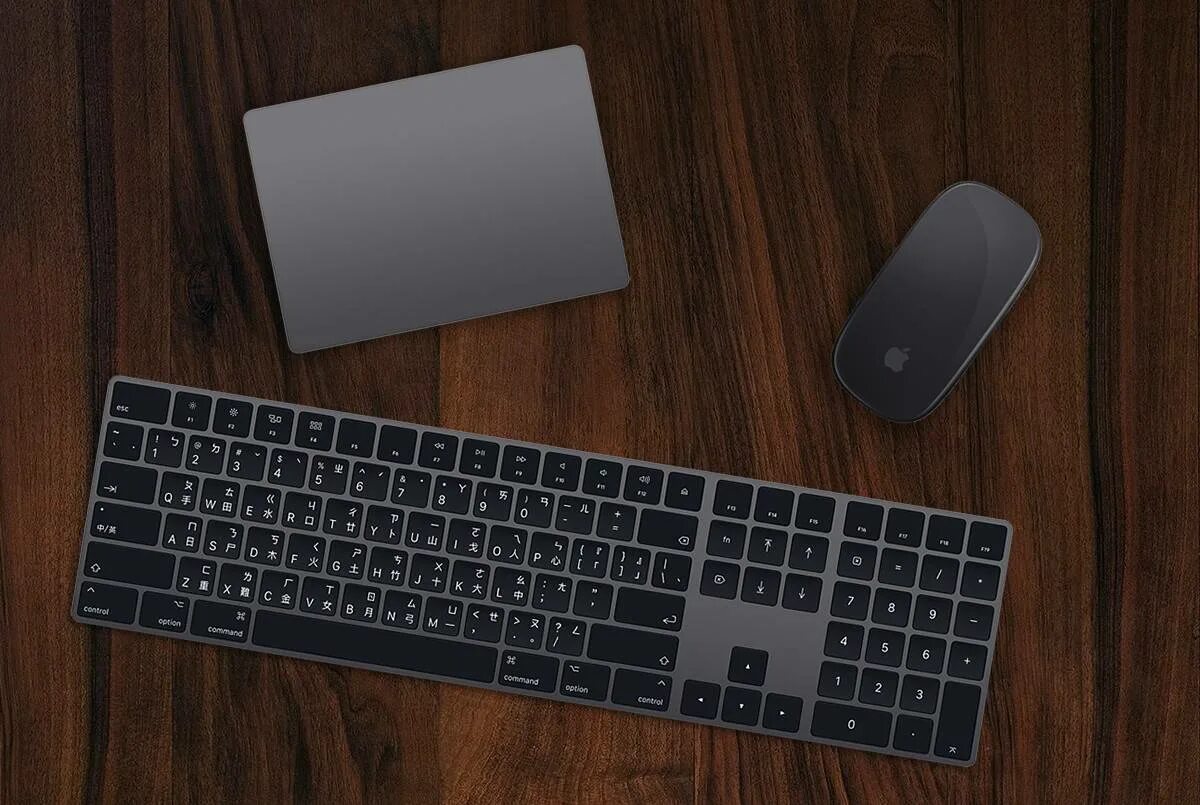 Apple magic keyboard с touch id. Apple magic keyboard 2 space gray. клавиатура apple magic keyboard 2 space grey. apple magic keyboard space gray. apple magic keyboard 2025.