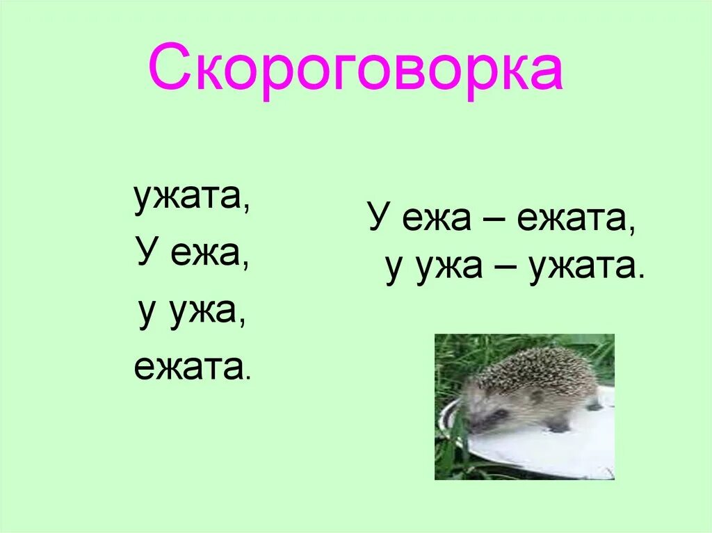 Загадка про ежика. Загадки про ежей. Загадка про ежа. У ежа ежата у ужа ужата скороговорка. Слово ежи какие звуки