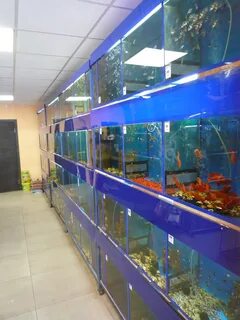 Рыбки рязань