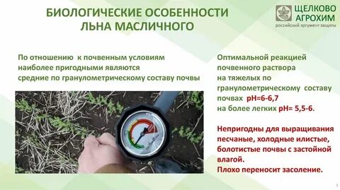 Биологические культуры