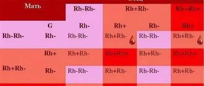 Четвертый отрицательный резус фактор. Кровь 4 отрицательная. 4 Группа крови резус. A II rh-.