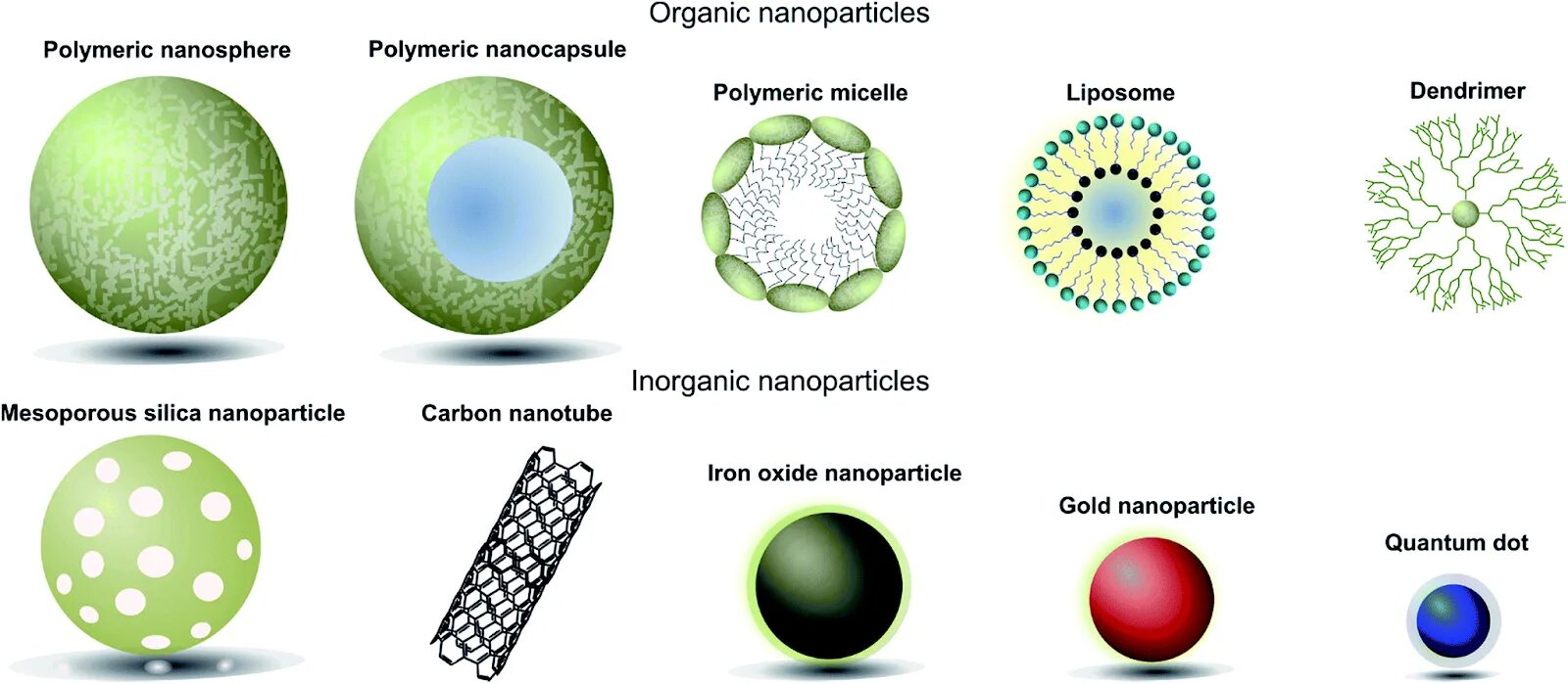 Геометрическая форма частицы. Размер наночастицы. Полимерные наночастицы. Классификация наночастиц. Полимеры для наночастиц.