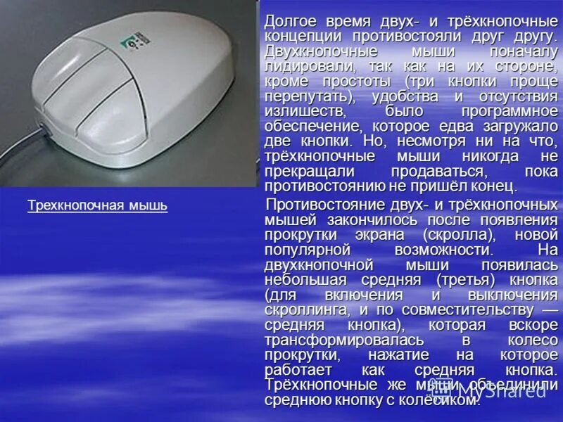Функции компьютерной мыши. Как пишется сторож или сторожь. Функции левой кнопки мыши. Мышь какое правило. Сообщение о компьютерной мыши.