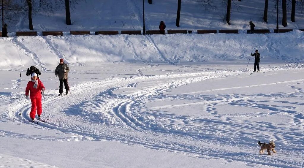 Покататься на лыжах в москве с прокатом. Горнолыжный спуск воробьевы горы. Парк царицыно лыжная трасса. Лыжи леонида тягачева. Лыжня в битцевском лесу.