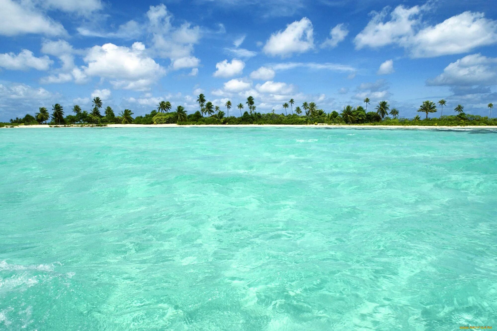 Океан голубая вода. Парадиз остров Карибского моря. Мальдивы голубая Лагуна. Голубая Лагуна Карибы. Карибское Лазурное море.
