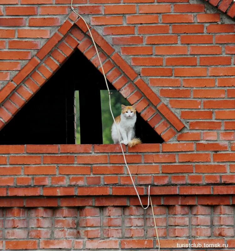 Спустившись с кровли кот сказал. Кот на кровле. Котики на крыше. Фигурка кота на крышу дома. Крыши с котами.