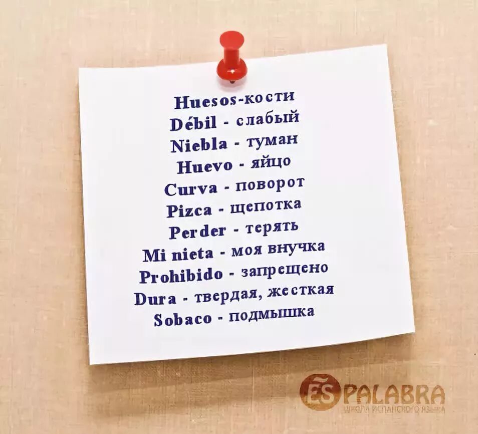 Смешные слова. Смешные слова на испанском. Смешные слова на испанском для русских. Испанские слова. Странные красивые слова