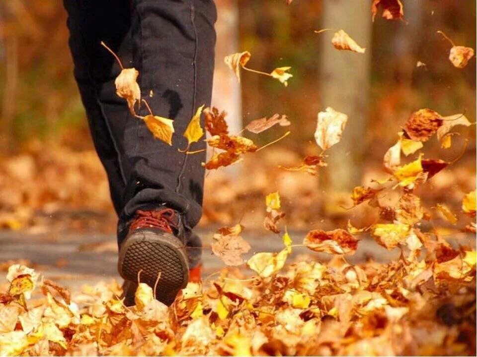 Осенние листья под ногами. Шуршание листьев. Листья шуршат под ногами. Ноги в листве осенней.