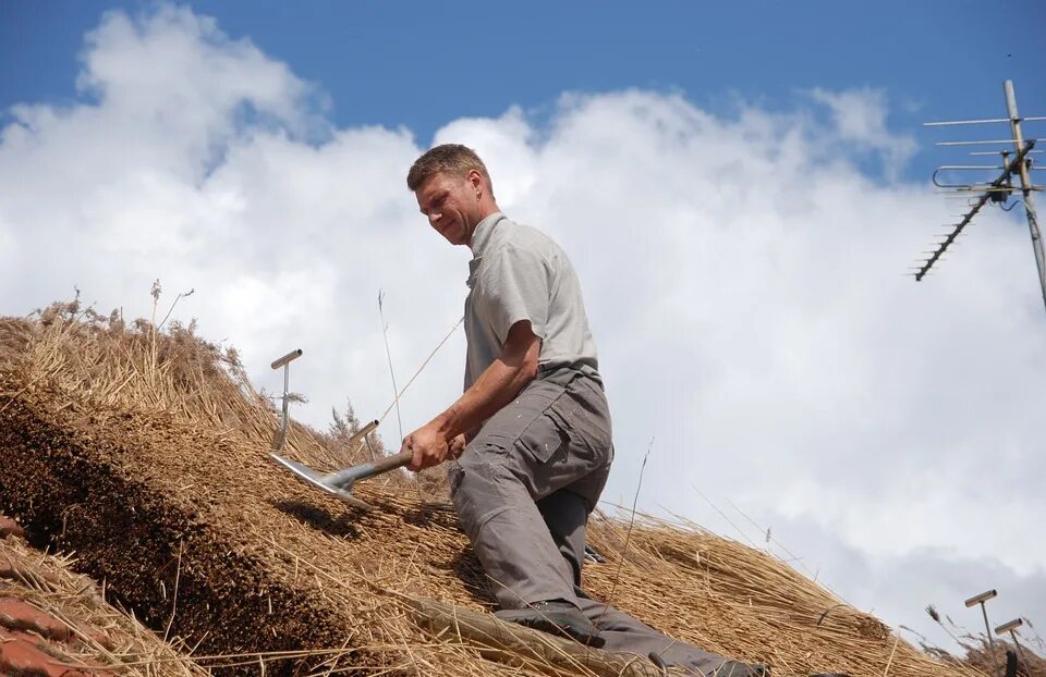Крестьянское хозяйство. Сельское хозяйство люди. Фермерское хозяйство. Работники сельского хозяйства. Земледелие в россии.