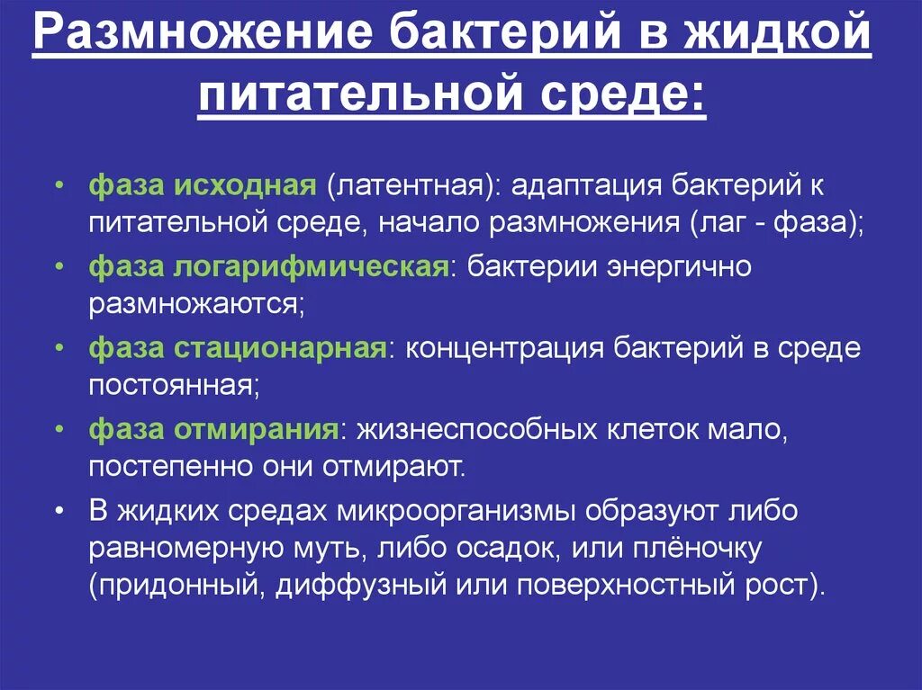 График размножения бактерий. Фазы размножения бактерий в жидкой питательной среде. фазы роста на жидких питательных средах. фазы роста бактерий на жидкой питательной среде. фазы размножения бактерий в питательной среде.