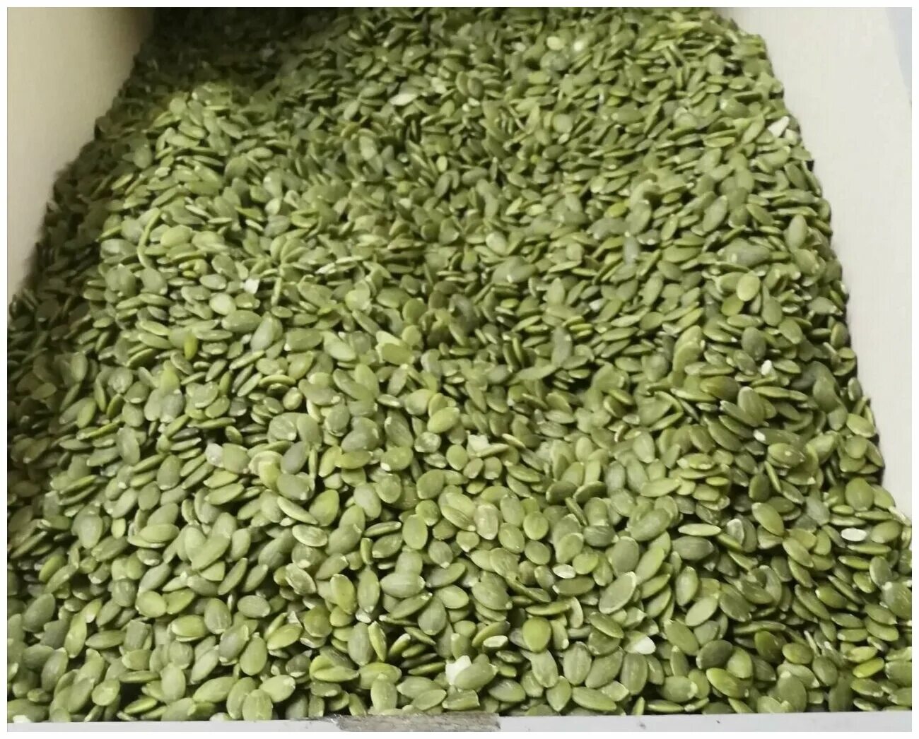 семечки от мартина тыквенные 100 гр. семя тыквы очищенное. семечки тыквы.