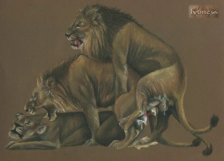 Лев Муж Секс