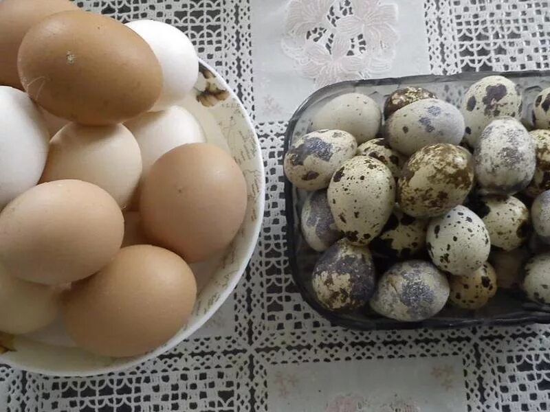 Курица на перепелиных яйцах. Фото куриных и перепелиных яиц. Цвет стен перепелиное яйцо. Яйцо куриное. Куриные перепелиные.