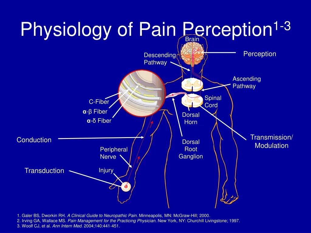 Physiological response