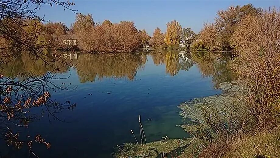 Рп5 курская область