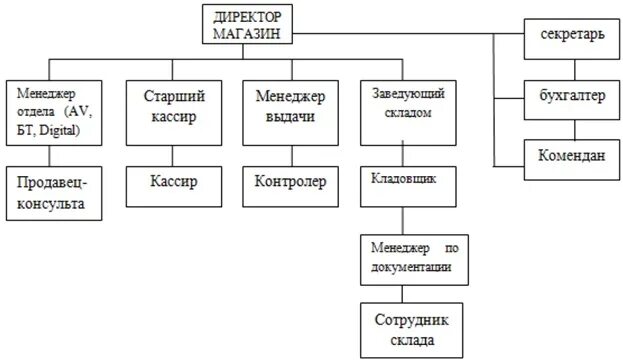 Организационная структура ооо эльдорадо схема. Организационная структура мвидео схема. Организационная структура магазина эльдорадо. Структура компании адидас схема управления. М структура предприятия.
