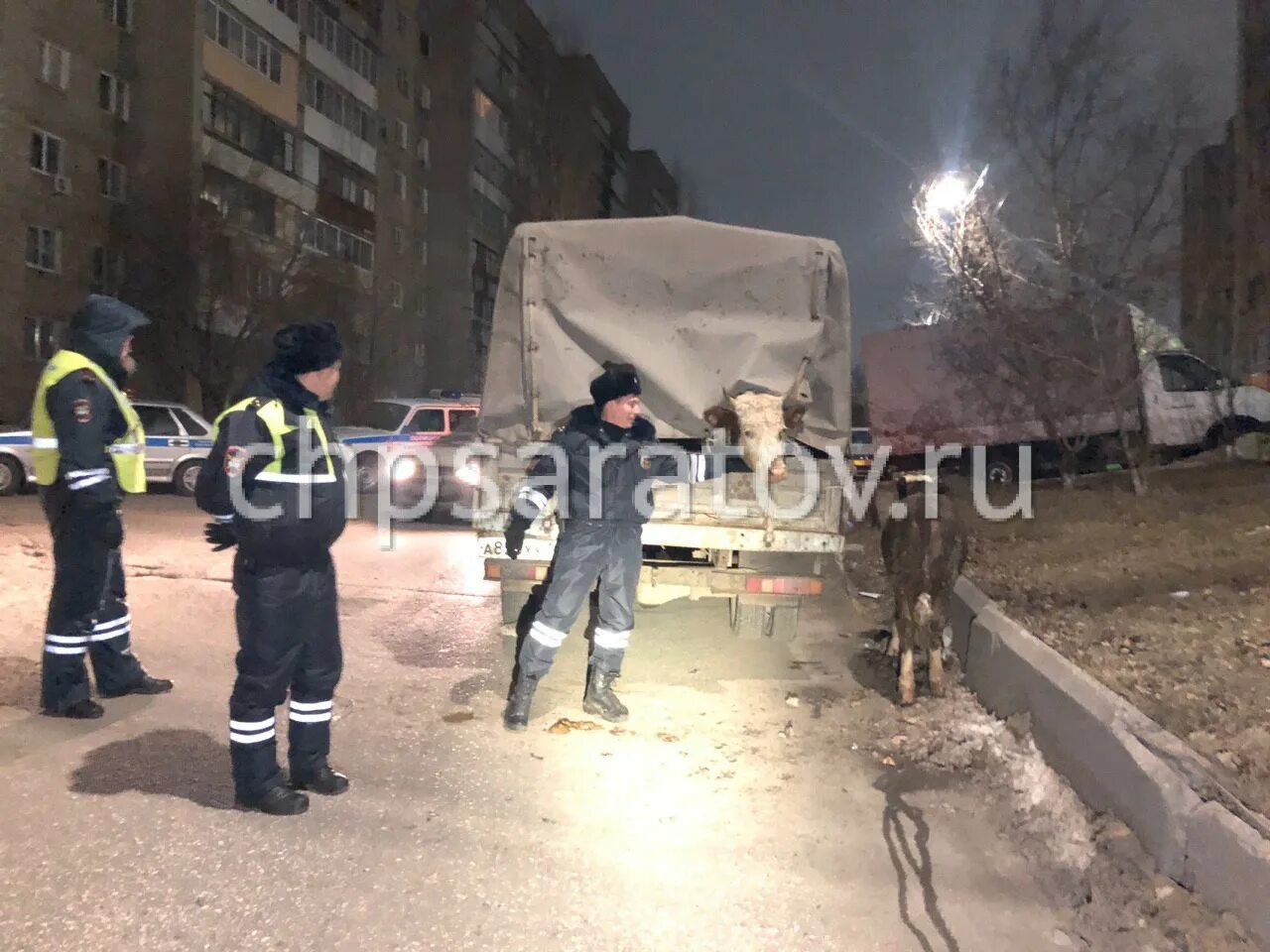 Чп 2019. Загадочные происшествия в 2019. Архив столичных происшествий. 08. Чп саратов тело утонувшего.