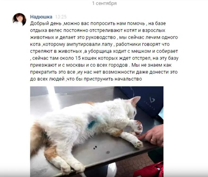 Приструнить седалищный нерв. Приструнить это как. Себя приструнить. Себя приструнить. Что значит приструнить человека.