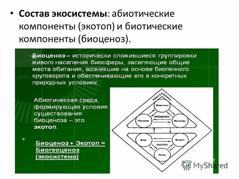 Абиотическое сообщество. Биотические компоненты экосистемы. Абиотические компоненты экосистемы. Абиотические компоненты биогеоценоза. Абиотические и биотические компоненты.