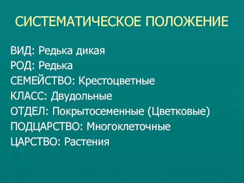 Систематическое положение 2 растений