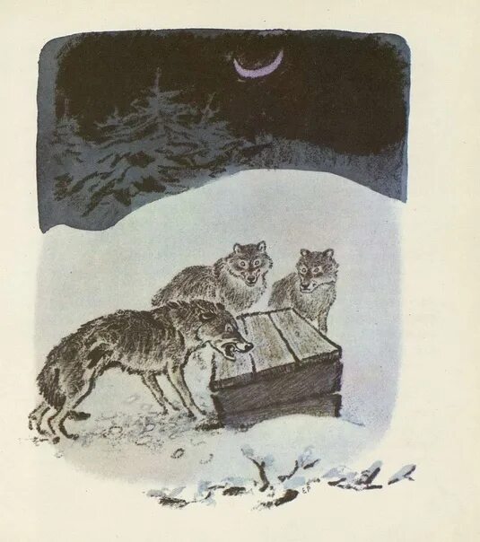 Рассказ таинственный ящик пришвин. Таинственный ящик пришвин рисунок. Пришвин таинственный. Пришвин таинственный ящик. Таинственный ящик пришвин иллюстрации.