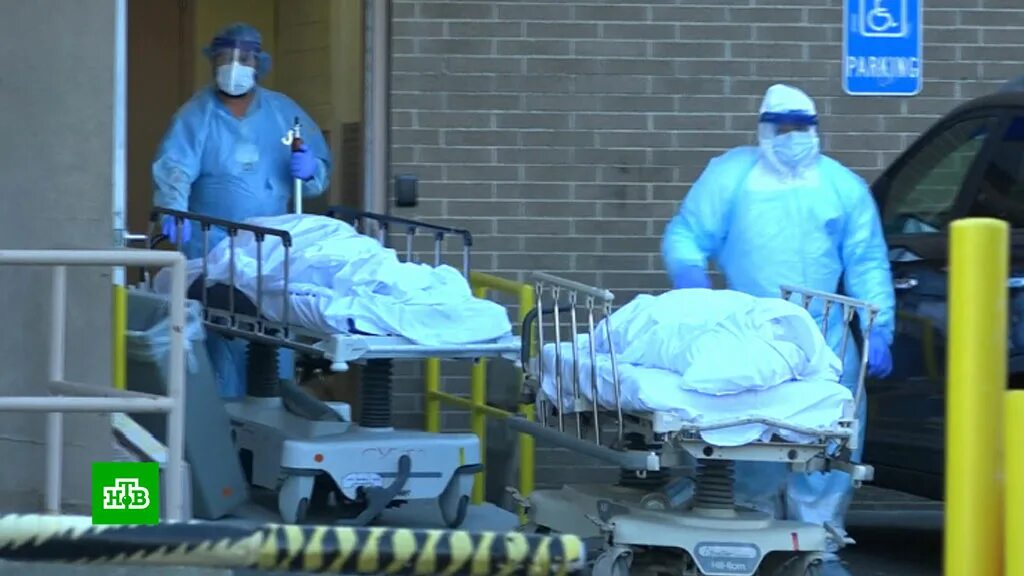коронавирус сша умерших. братские могилы в нью йорке коронавирус. коронавирус сша умерших. морги в сша от коронавируса. коронавирус сша умерших.