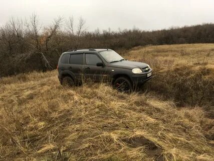 Нива волгоградская область