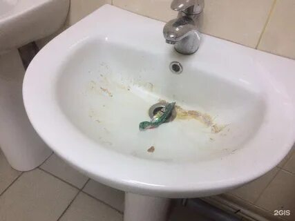 Гимназия 13 академгородок красноярск