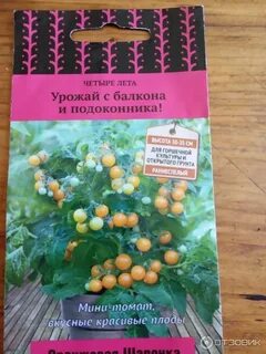 Томат балконное чудо отзывы урожайность характеристика