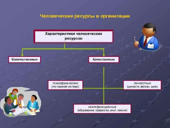 Ее организации она состояла из. Человеческие ресурсы. Человеческие ресурсы примеры. Человеческие ресурсы предприятия. Человеческие ресурсы организации это.