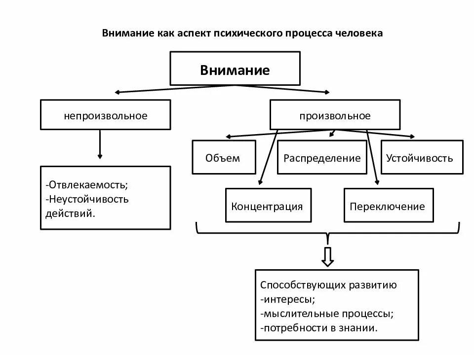 Элементы внимания. Характеристика внимания как психического процесса. Внимание как психический познавательный процесс. Познавательный процесс внимание в психологии. Кластер внимание как психический процесс.