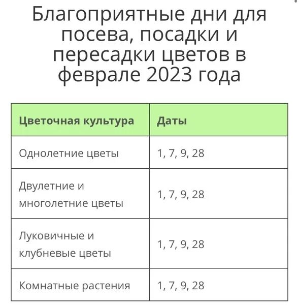 Благоприятные дни для посева капусты в апреле 2023 года.