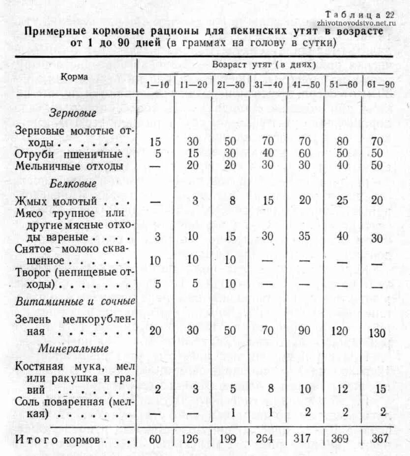 Чем кормить суточных гусят. Нормы кормления утят таблица. Норма комбикорма для уток мулардов. Норма корма для уток мулардов. Нормы кормления утят комбикормом.